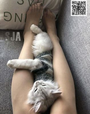 馬与人黃色毛片免费视频_高清在线观看